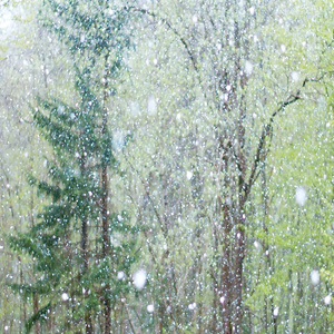 。日本一二三区高青
