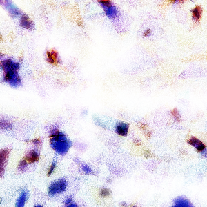 。日本一二三区高青
